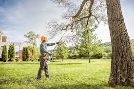 Best Lot and Land Clearing  in Neillsville, WI