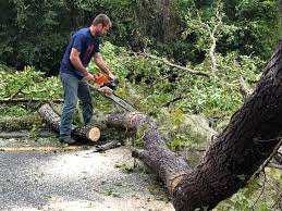 Best Aeration Services  in Neillsville, WI